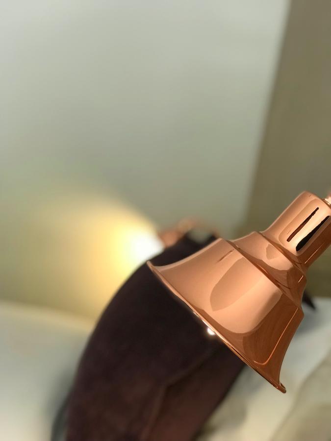 Hotel Lindsay 马尼萨莱斯 外观 照片